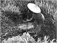 水を導く