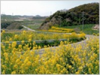 第9回あいちの農業・農村フォトコンテスト入賞･入選作品