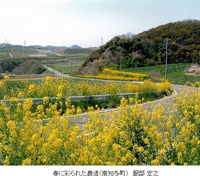 水土里のフォト大賞