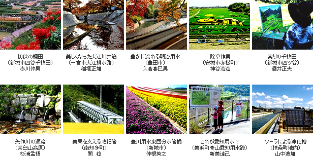 入選