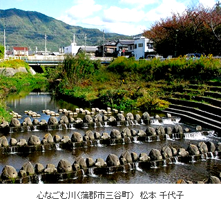 豊かな農地あいち特別賞