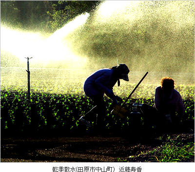 水土里のフォト大賞