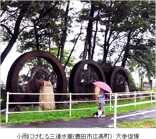 豊かな農地あいち特別賞