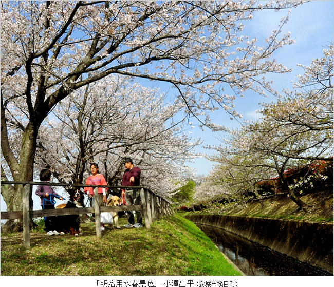 水土里のフォト大賞