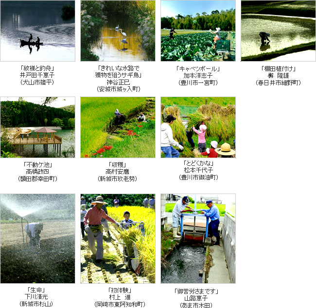 入選