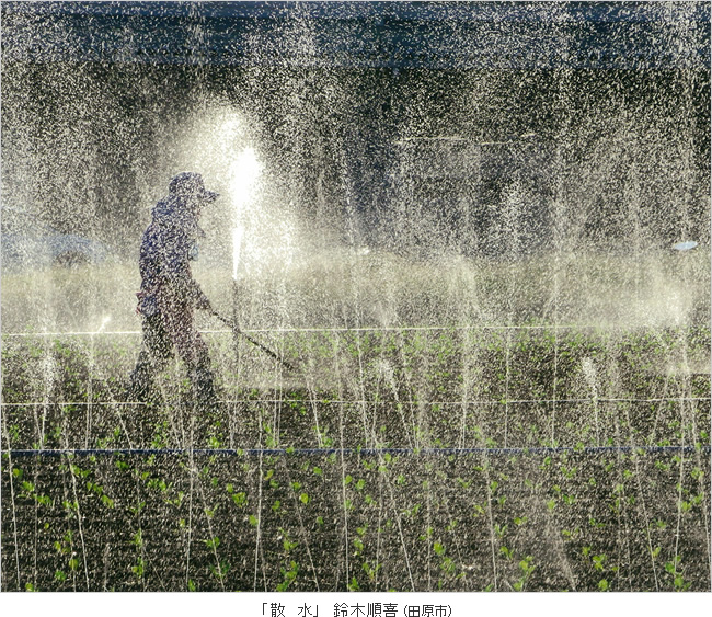 水土里のフォト大賞