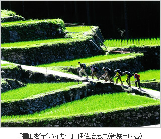 豊かな農地あいち特別賞