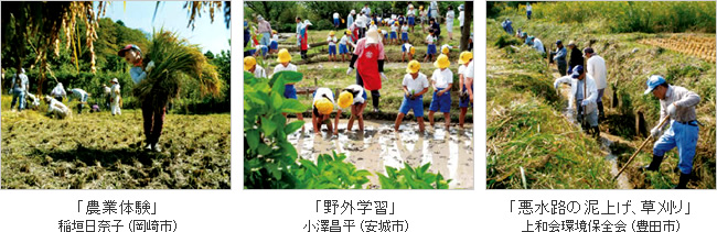 農地・水・環境保全向上活動特別賞