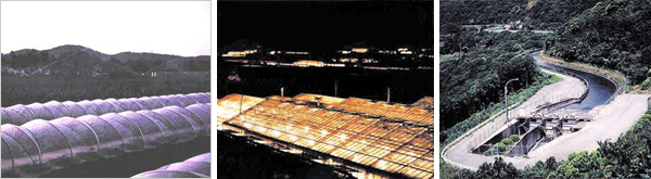 豊川用水（赤羽根町の電照菊・スプリンクラーかんがい・用水路）