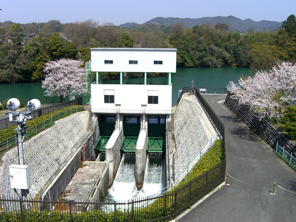 水を育む