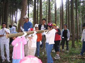 間伐体験(根羽村)